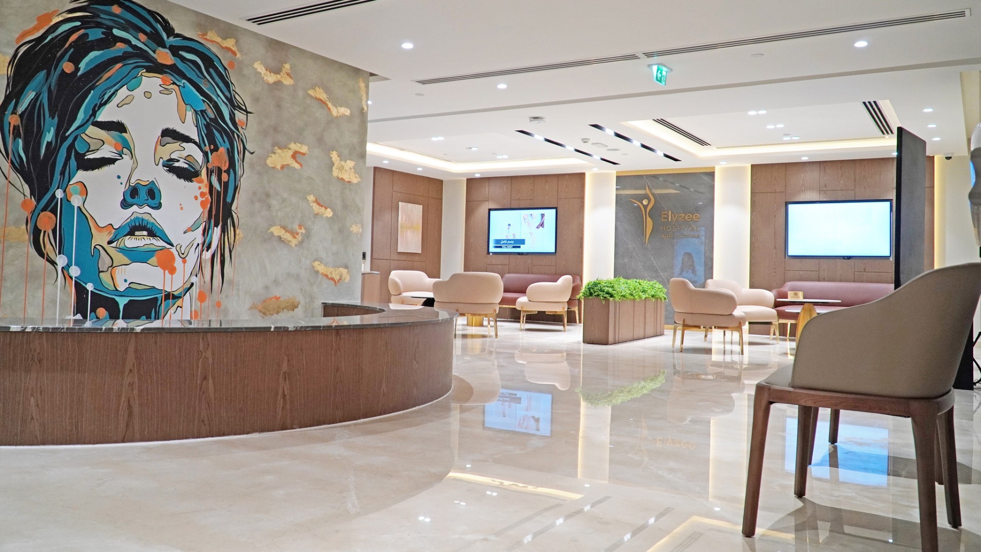 Elyzee Hospital