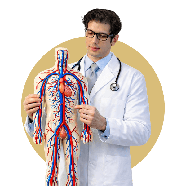 مستشفى اليزيه - جراحة الأوعية الدموية